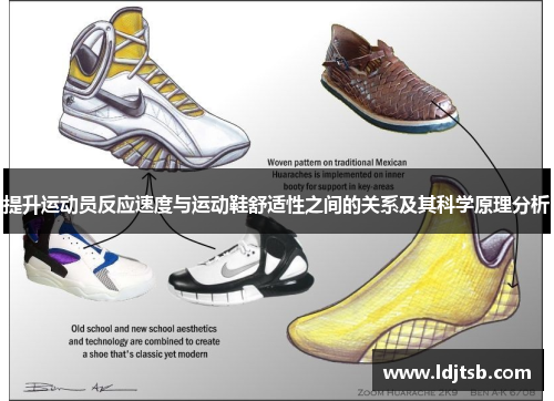 提升运动员反应速度与运动鞋舒适性之间的关系及其科学原理分析